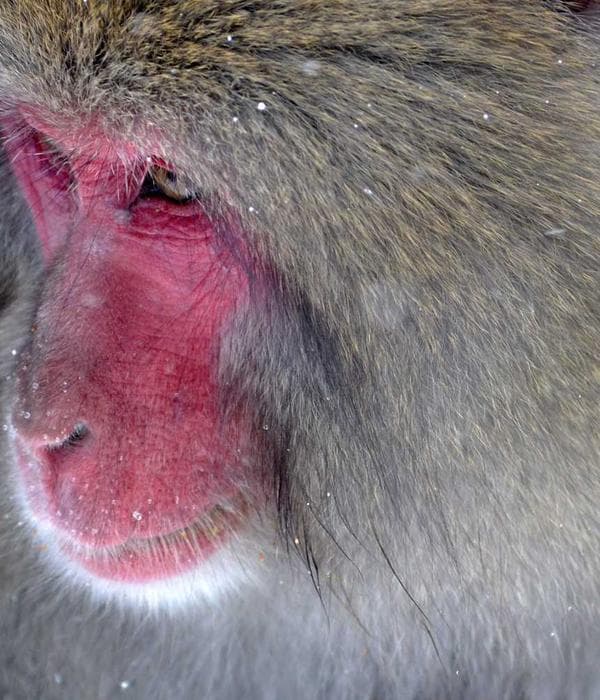 デジタルノマド