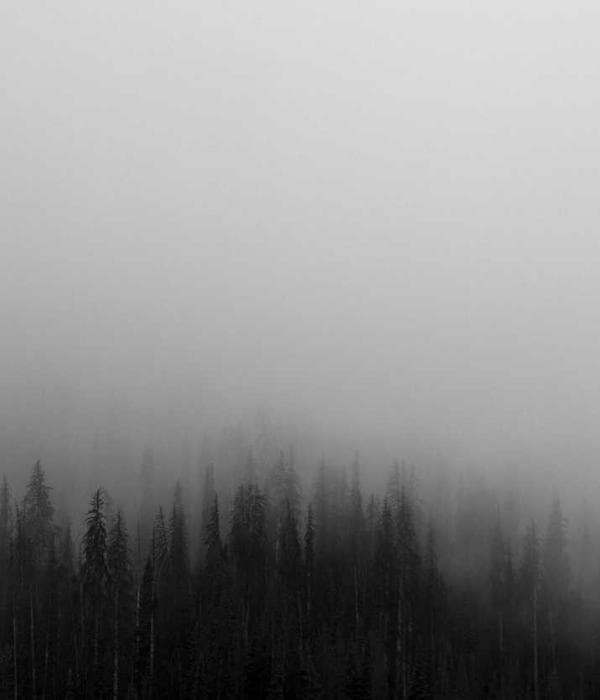 Giao diện tương lai