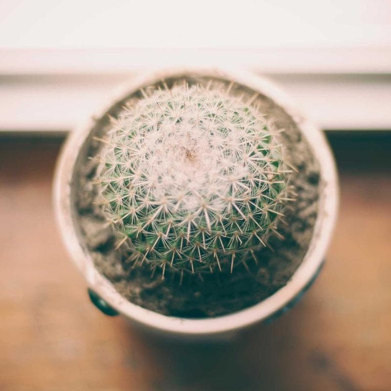 Trading User Management