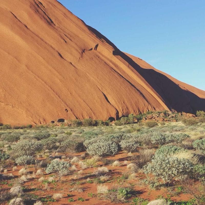 Vite Plugin Vue Layouts Next