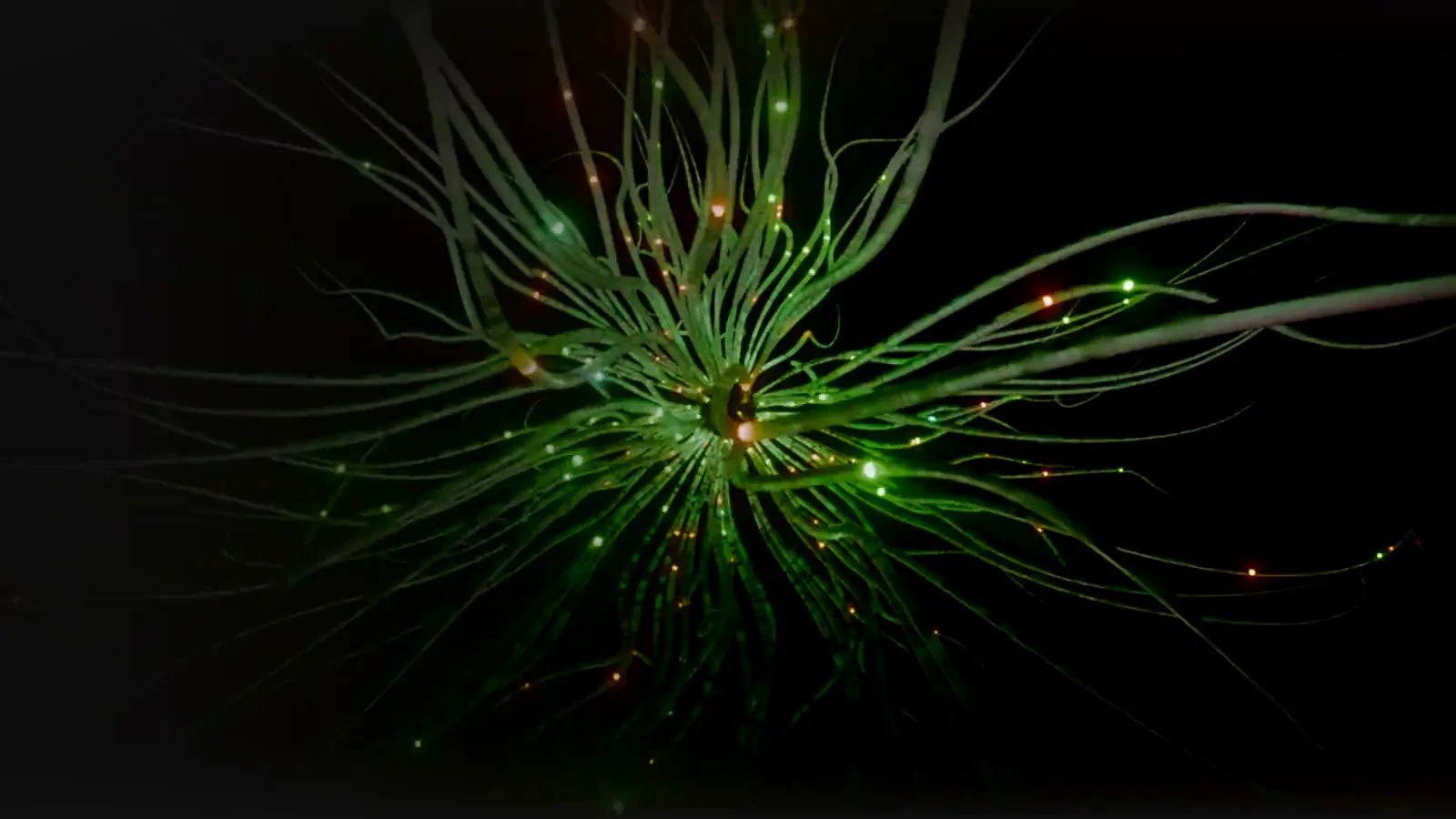 A neural network of glowing strands reaching outward